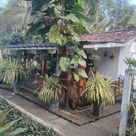 Lovers Green Villa Matara Extérieur photo