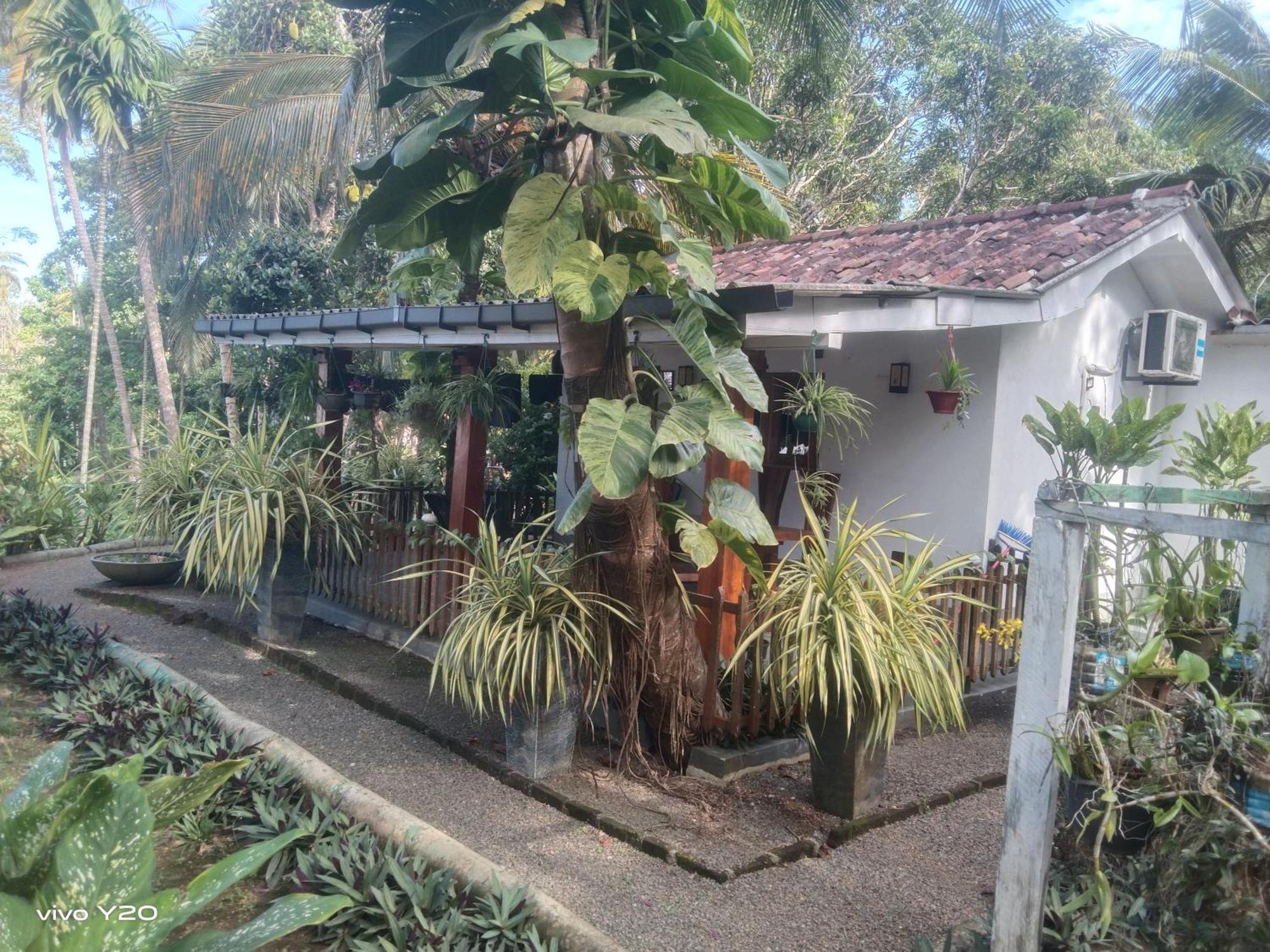 Lovers Green Villa Matara Extérieur photo